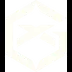 GIANTX GC