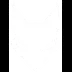 Team Lynx