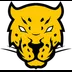 Jaguares