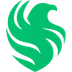 Falcons Esport