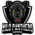 Wild Panthers Esports
