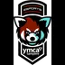 YMCA Esports
