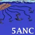 5 Anchors No Captain