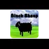 Black Sheep!