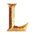 KartRiderTeam