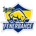 1907 Fenerbahçe Esports