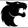 FURIA Esports