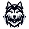 Huskies eSport
