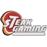 STEAK GAMING