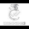 Winning Gaming