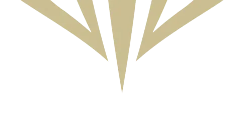 Asian Champions League