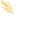 99DIVINE