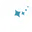 Arneb