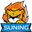Suning