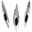 Ovoshi