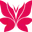 Lotus fe