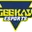 Geekay Esports