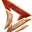 Direborn
