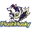 Flash Husky