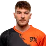 Viketox